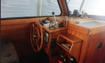 Family Cruiser-kuva-3